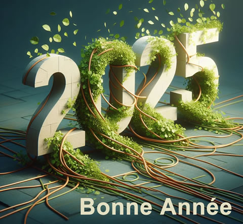 Meilleurs voeux pour 2025